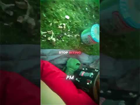 Wild Animal Tries To Eat Through Their Tent While Camping😨⛺️ thumbnail