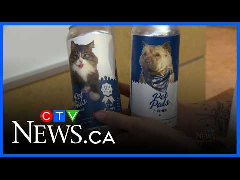 Pets on Pints returns thumbnail