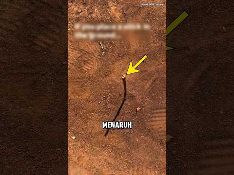 Lakukan Hal Ini Jika Anda Tersesat! 😦 thumbnail