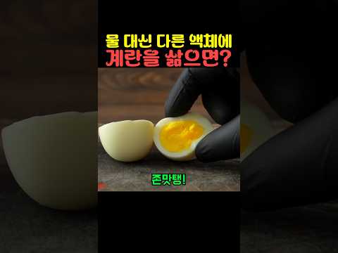 물 대신 다른 액체에 계란을 삶으면 thumbnail