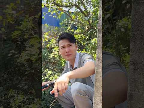 Suốt ngày câu | Sao Không Sợ Vợ #shorts thumbnail