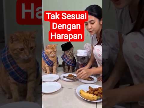Nasib Bang Oyen belum mujur #hiburansegar thumbnail