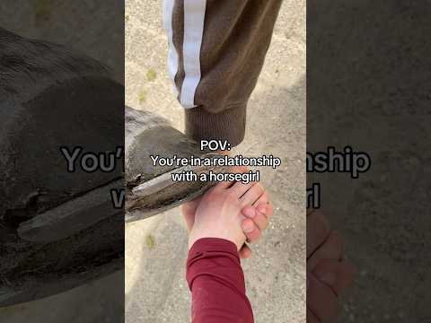 It was three of us in this marriage🐴😅 #equestrian #horse #horses #stallion #horsegirl #horserider thumbnail