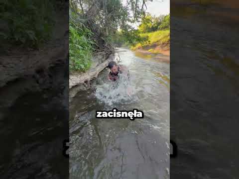 Tygodnie W Szpitalu Po Spotkaniu Z Sumem thumbnail