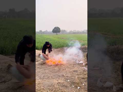 Tree’s Fire Experiment #shorts #outofmindexperiment thumbnail