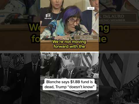 Blanche says $1.8B fund is dead, Trump 'doesn't know' thumbnail