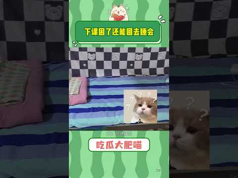 这才是真正的学区房吧 #万万没想到 #离谱 #搞笑 thumbnail