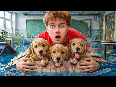 I Found 10 Lost Puppies At School! thumbnail