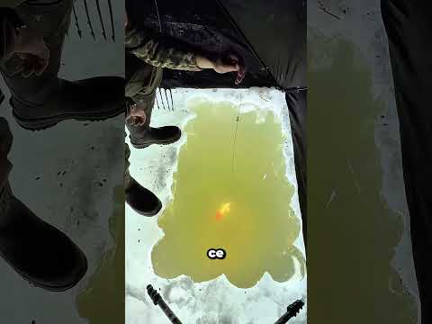 La réfraction de la lumière rend votre cible impossible à atteindre thumbnail