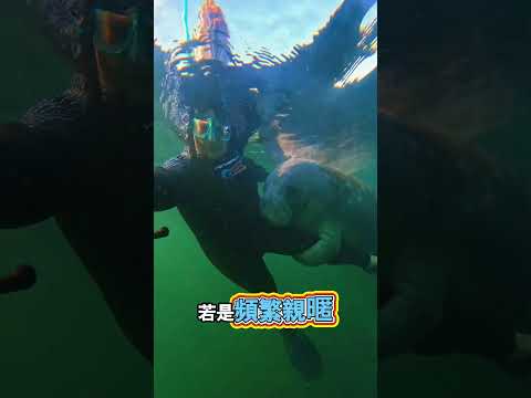 克制的溫柔才是最好的守護 thumbnail