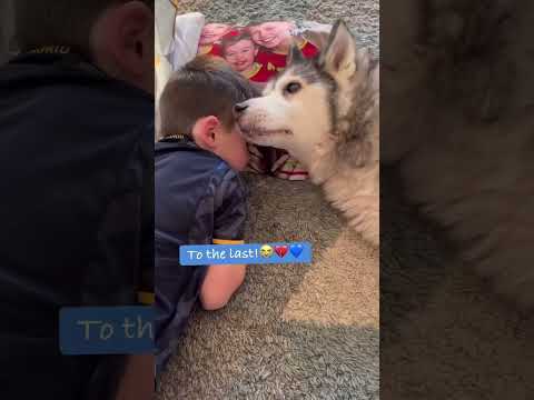 #love #baby thumbnail