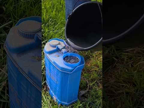 Cara Membasmi Semua Jenis Rumput Sampai ke Akar #fyp #shorts #viralvideo thumbnail