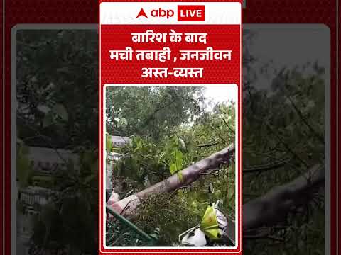 Viral News : बारिश के बाद मची तबाही , जनजीवन अस्त व्यस्त | #ytshorts #viralvideo #weatherupdate thumbnail