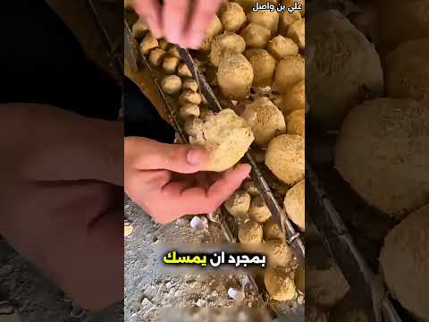 هذا الرجل يشتري البيض بطريقة...!#shorts #shortvideo #shortsfeed #اسلاميات thumbnail