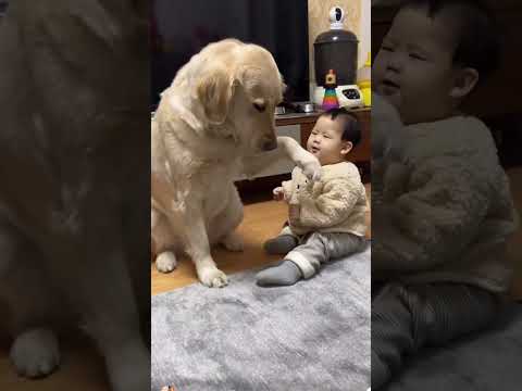 #love #baby thumbnail