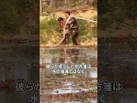 日本の驚くべき技術が灌漑に励むも枯死する中央アジアの土地を救った結果はヤバすぎる thumbnail