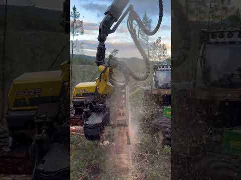 Harvester 1270g vs the toughest forest #harvester #forest #johndeere #lumberjack #tree #automobile thumbnail