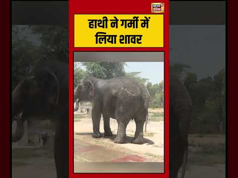 Elephant takes a shower in the heat | हाथी ने गर्मी में लिया शावर | #viralnews | #viralvideo thumbnail