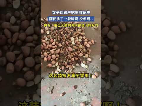 女子到農戶家裏收花生，隨便挑了一袋驗貨，沒想到..網友：他怎麽做到外周都是大粒好的 #共鳴 #大熱門 thumbnail