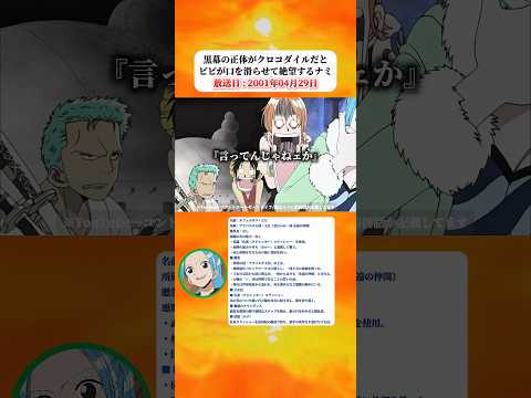 ビビが口を滑らせクロコダイルの暗殺リストに載ってしまい絶望するナミ 【ワンピース】 thumbnail