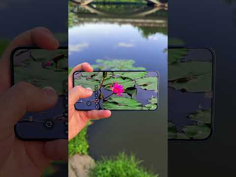 Can your Samsung camera handle professional mode photography? thumbnail