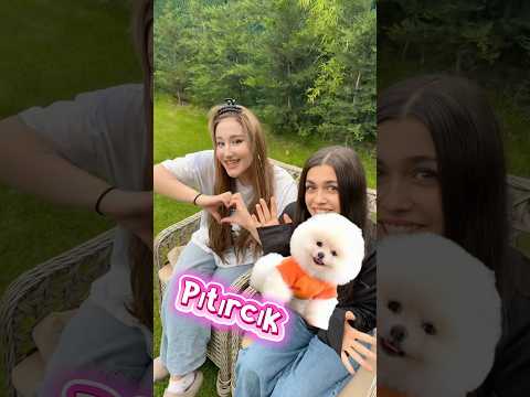 Kızların vs erkeklerin köpeklerine koyduğu isimler thumbnail