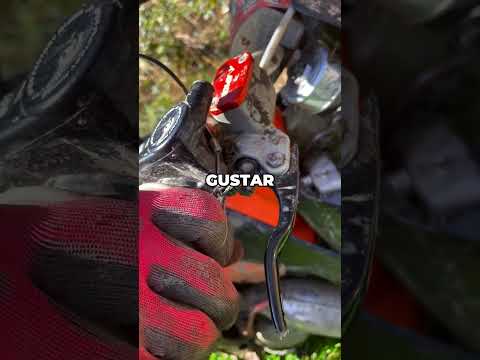 Situaciones de Bikers Impredecibles thumbnail