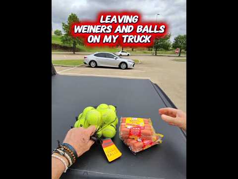 Leaving Weiners and Balls on my  Truck⁉️ #318christerry I wondered why everyone was starring at me! thumbnail