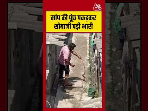 Shorts | सांप की पूंछ पकड़कर शोबाजी पड़ी भारी | #surat #viralvideo #trending thumbnail