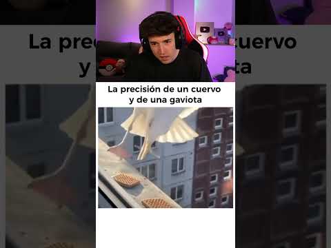 LA PRECISION DE UN CUERVO vs GAVIOTA 🕊️ thumbnail