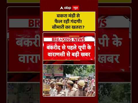 Bakrid Controversy : Bakra मंडी से फैल रही गंदगी! बीमारी का खतरा ?  | #kurbani #ytshorts #shorts thumbnail