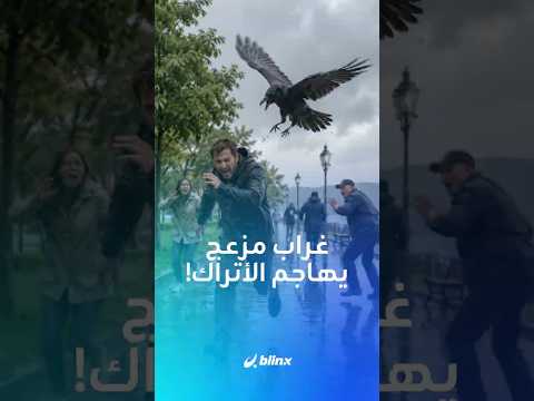 المشي في الشارع يتحول إلى "مهمة هروب" بسبب غراب مشاغب قرر أن يهاجم المارة في تركيا thumbnail