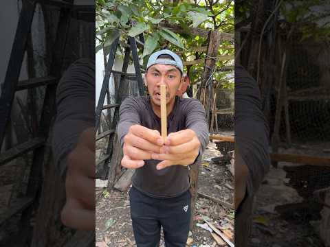 permen es krim dan sapu terbalik thumbnail