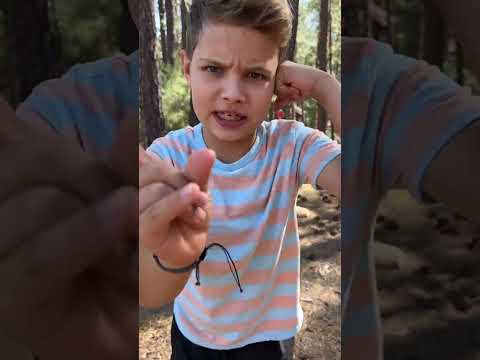 three little monkeys #kidssong thumbnail
