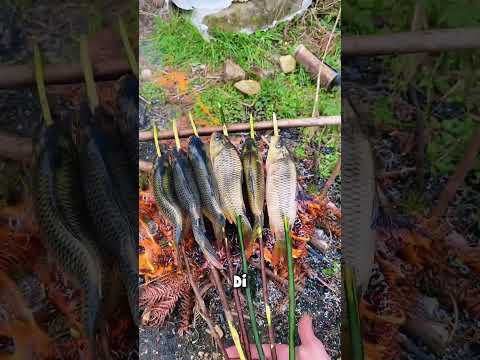 Cari Ikan Susah Payah, Endingnya Bikin Heran thumbnail
