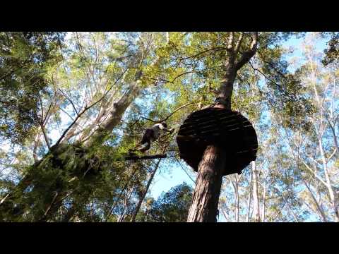 Treetop Adventure Park thumbnail