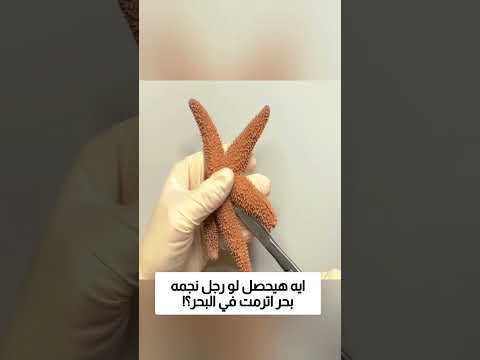 ايه هيحصل لو رجل نجمه بحر اترمت في البحر؟! thumbnail