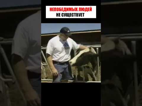 Фермер ОТОМСТИЛ за поражение КАРЕЛИНУ 😨 #shorts thumbnail