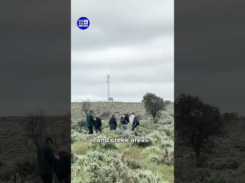 Fresh search for Gus Lamont | 9 News Australia thumbnail