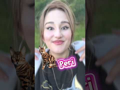 Kızların vs erkeklerin koyduğu kedi isimleri thumbnail