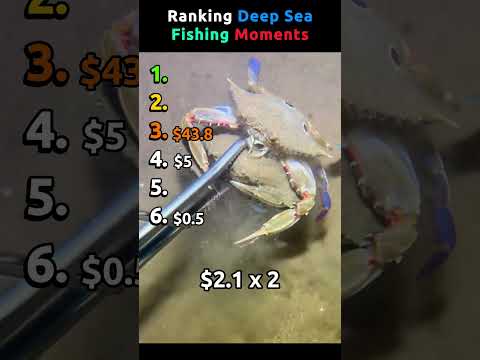 Ranking Deep Sea Fishing Moments #fishing thumbnail