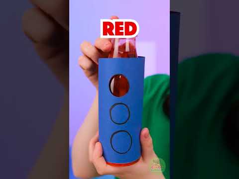 Aprenda Regras de Trânsito de Forma Divertida! ?✨ thumbnail