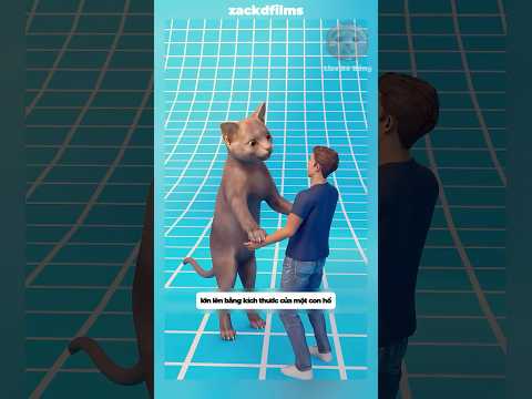Bé mèo này bạn lớn lên bằng kích thước con hổ #shorts #facts thumbnail