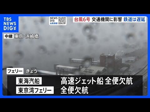 フェリーなど海の便でも欠航相次ぐ　東京・竹芝と伊豆諸島結ぶ東海汽船は高速ジェット船全便欠航　東京湾フェリーも全便欠航【台風6号 交通機関への影響】｜TBS NEWS DIG thumbnail