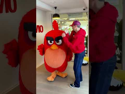 is this tuff? #angrybirds #dance thumbnail
