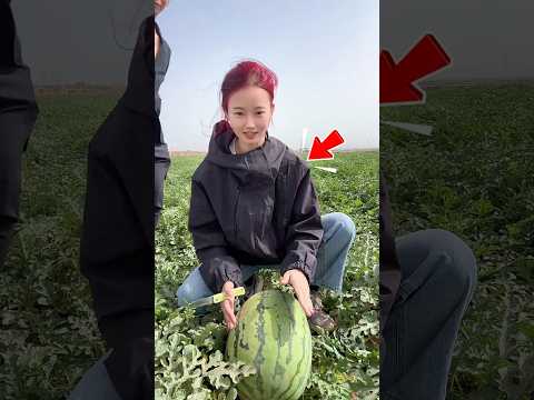 Dưa Hấu Bổ Ra Đỏ Rực Khiến Người Bất Ngờ #shorts thumbnail