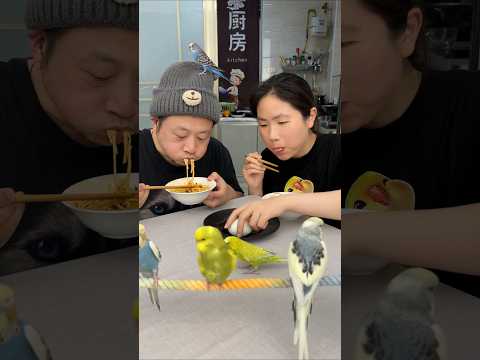 关于平均分配😊🥚平平淡淡一餐饭😘🥰美食美味 thumbnail