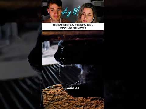 Le digo a mi gato que odie a los vecinos y su reacción es increíble thumbnail