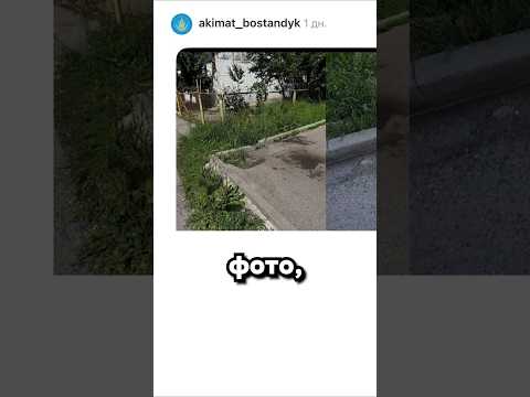 Современный способ уборки thumbnail