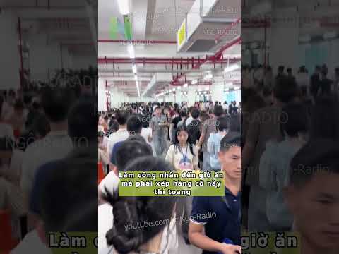 Đi ăn mà xếp hàng thế này thì đến bao giờ thumbnail
